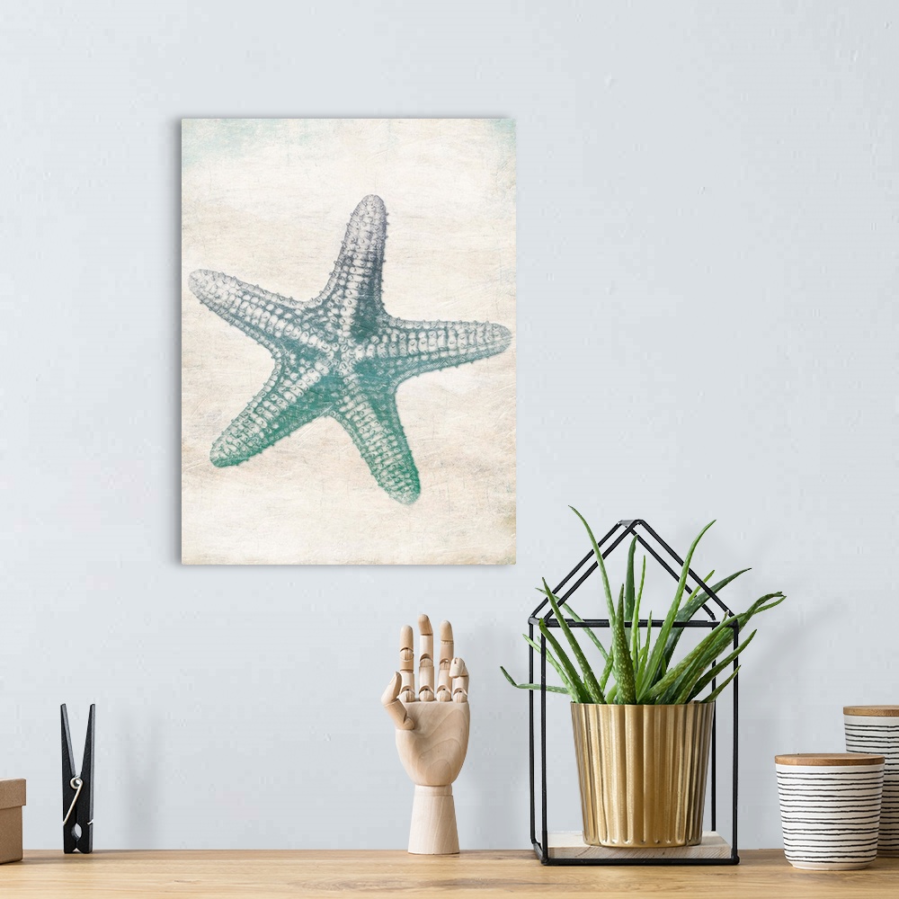A bohemian room featuring Starfish