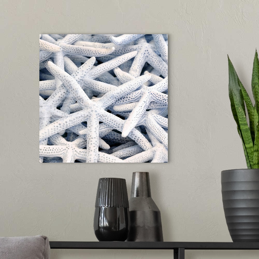 A modern room featuring A beautiful coastal style photograph of white starfish piled on top of one another forming an alm...