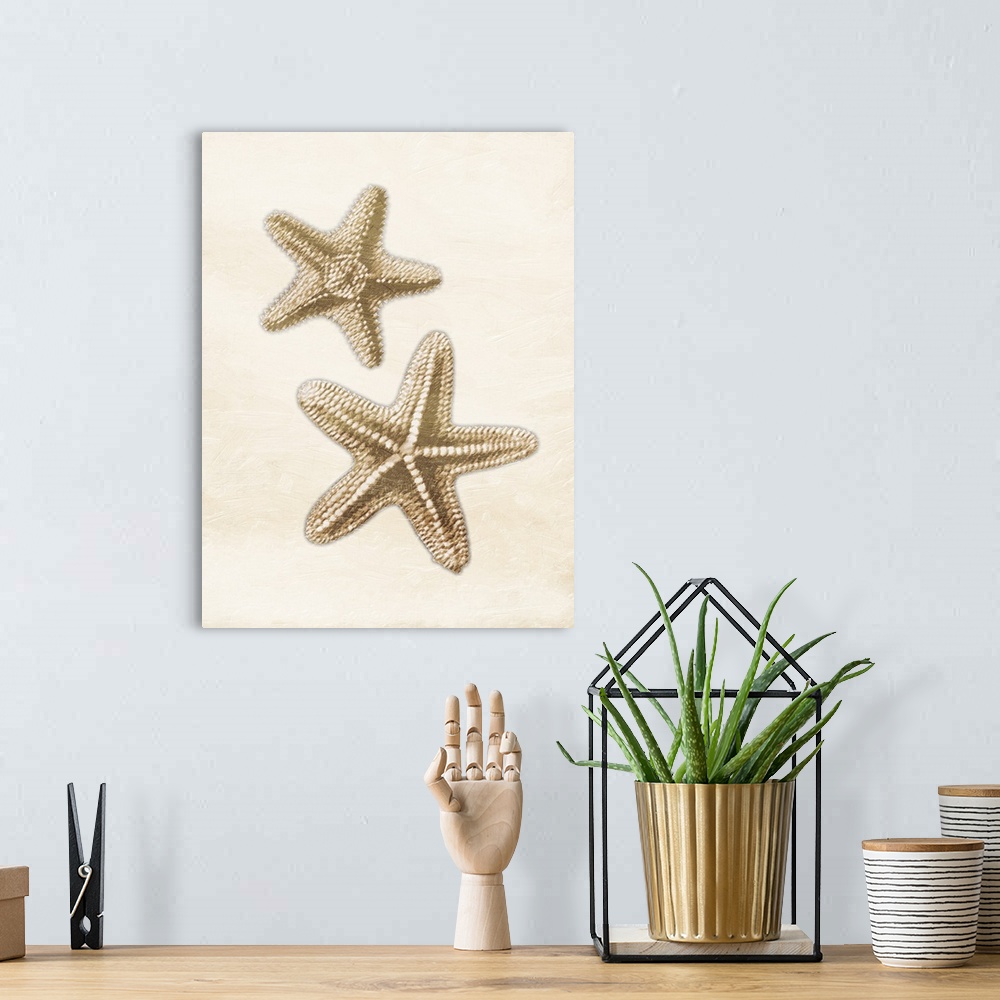 A bohemian room featuring Starfish Gold
