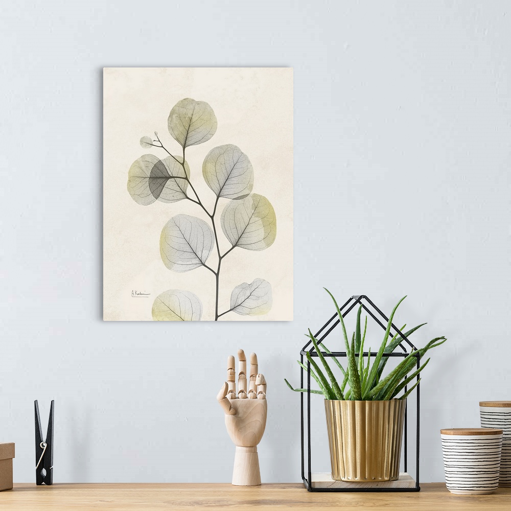 A bohemian room featuring Sunkissed Eucalyptus 3