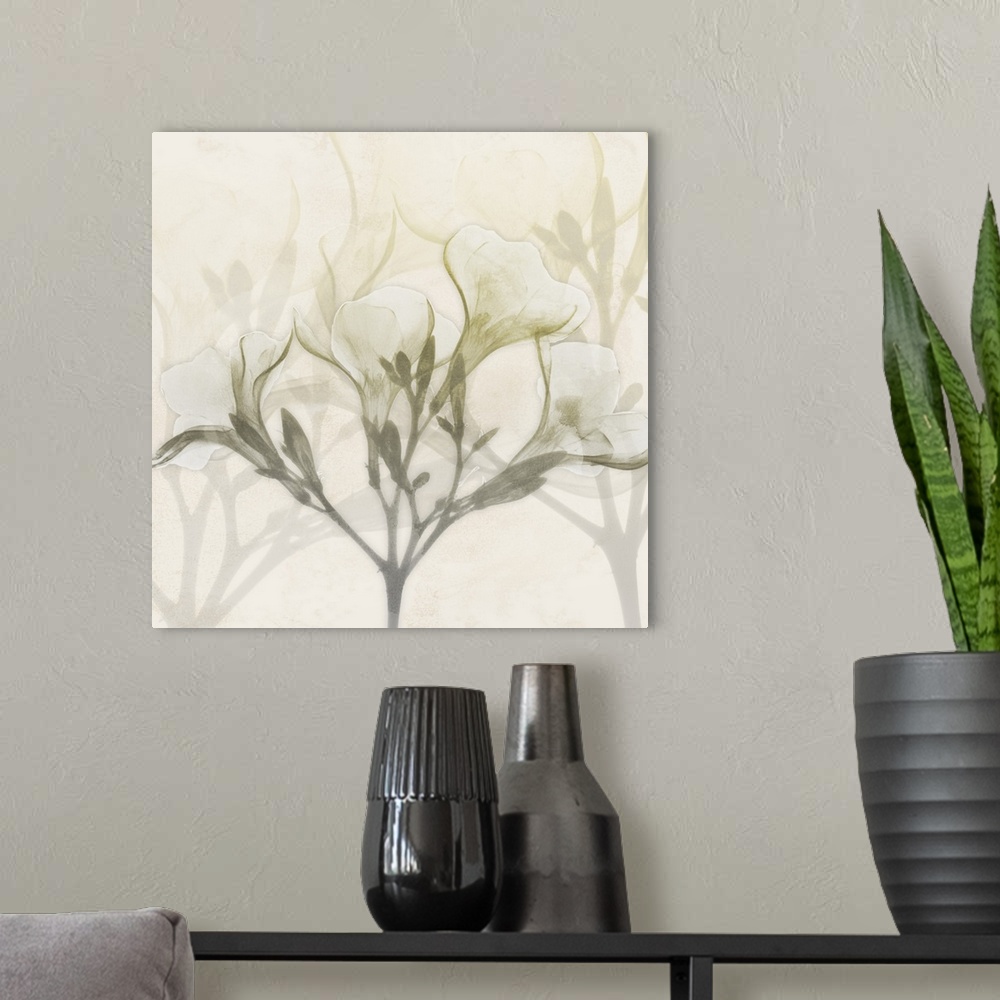 A modern room featuring Sunkissed Oleander