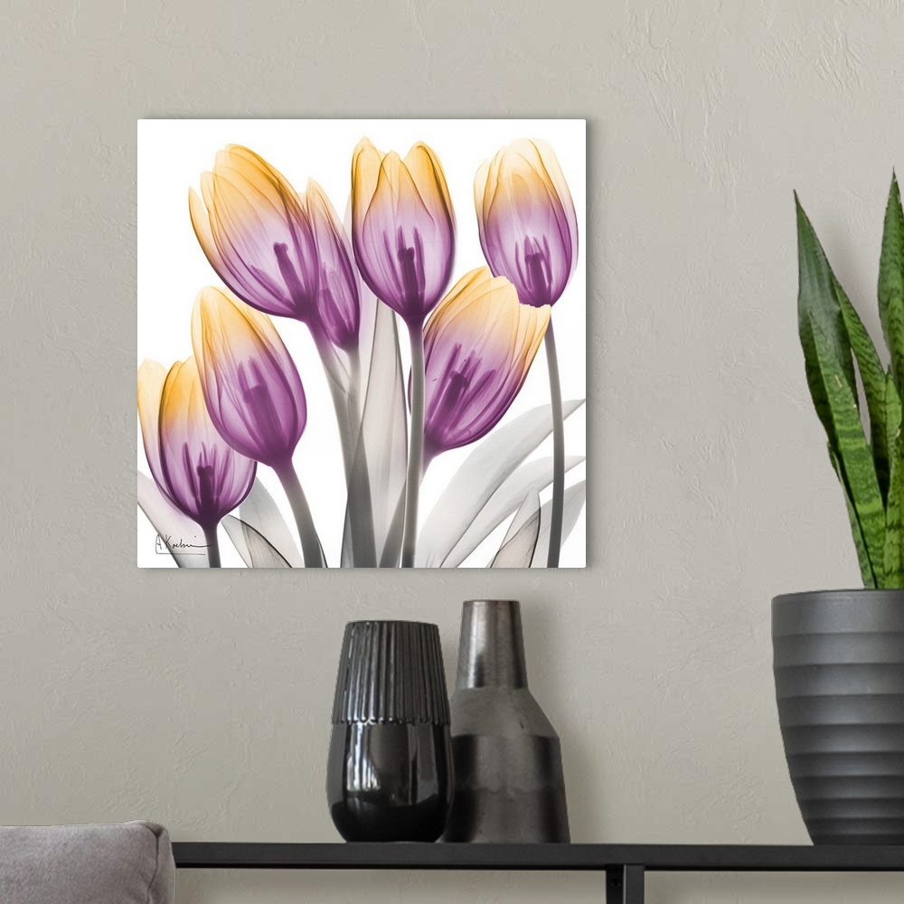 A modern room featuring Sunrise Tulips 2