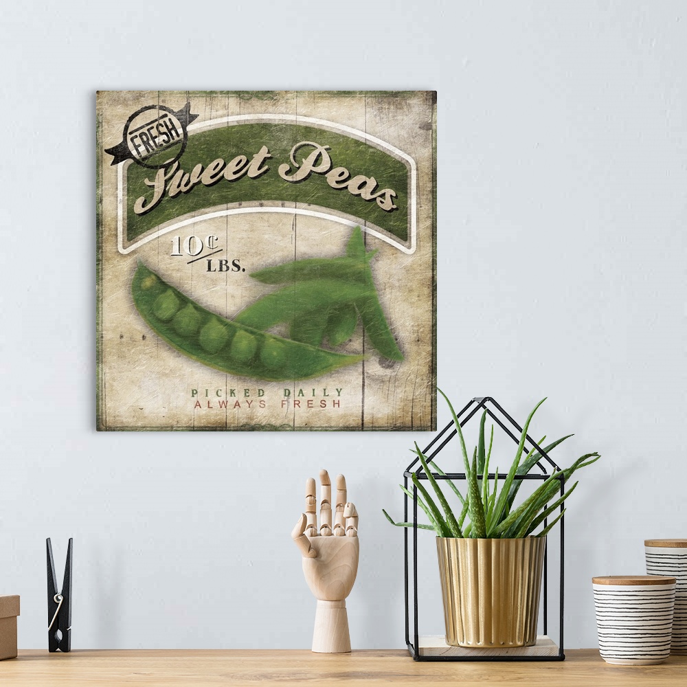 A bohemian room featuring Sweet Peas