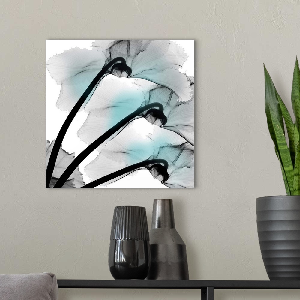 A modern room featuring Teal Luster Cyclamen