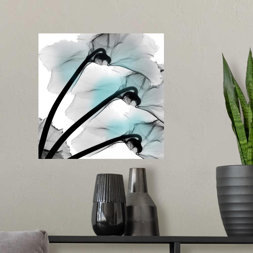 A modern room featuring Teal Luster Cyclamen