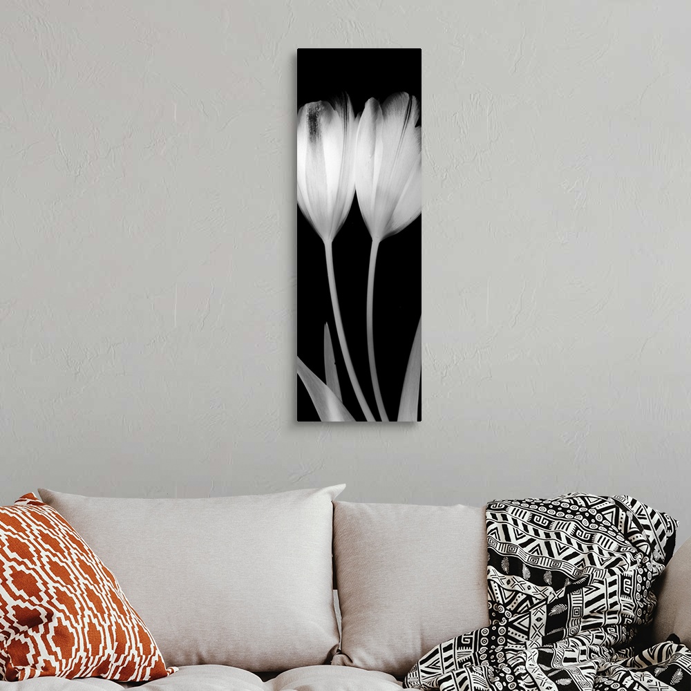 A bohemian room featuring Vertical x-ray photograph of two tulips on a dark background.