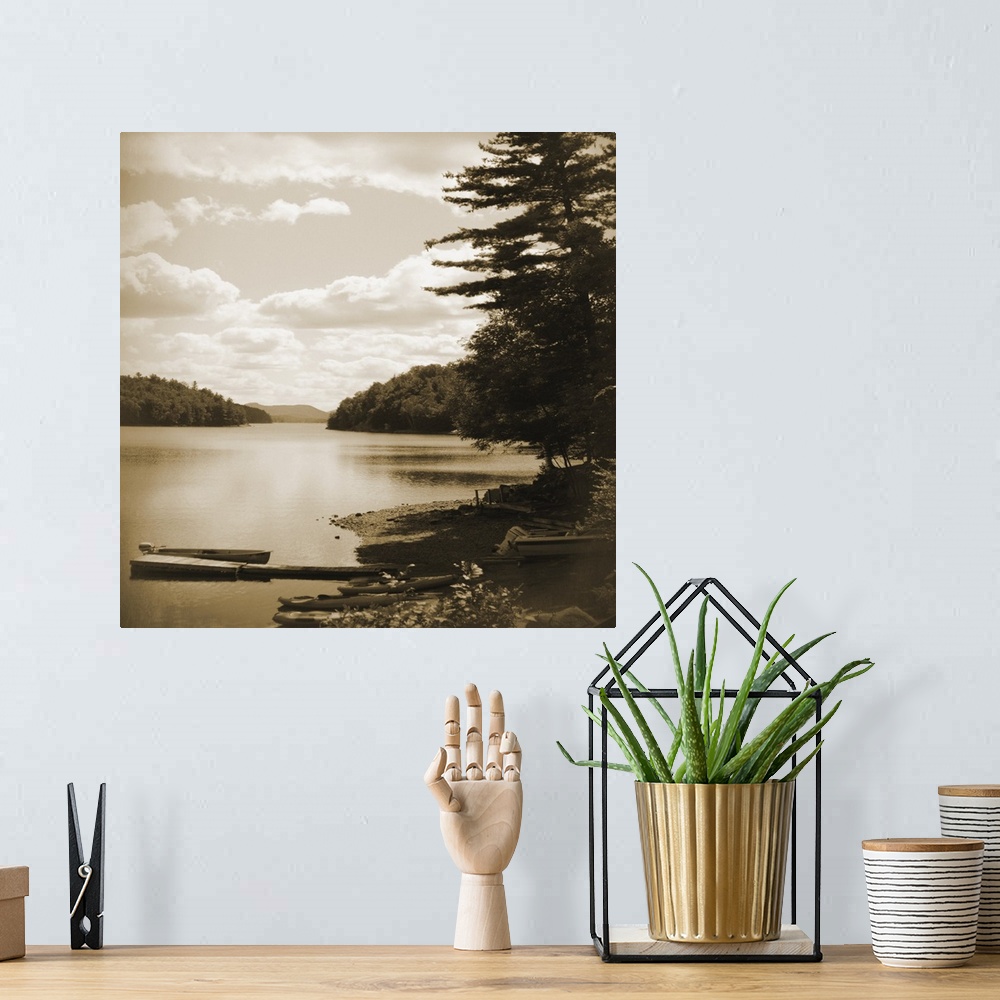 A bohemian room featuring Sepia toned photograph of an idyllic wilderness scene, with lake and forest.