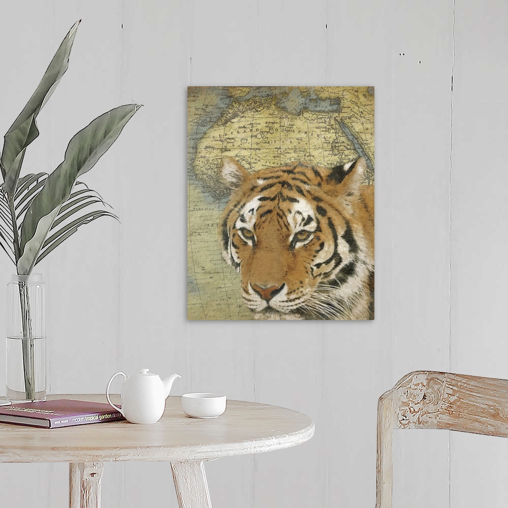 A farmhouse room featuring Tiger on Africa map