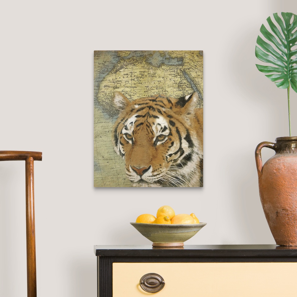 A traditional room featuring Tiger on Africa map