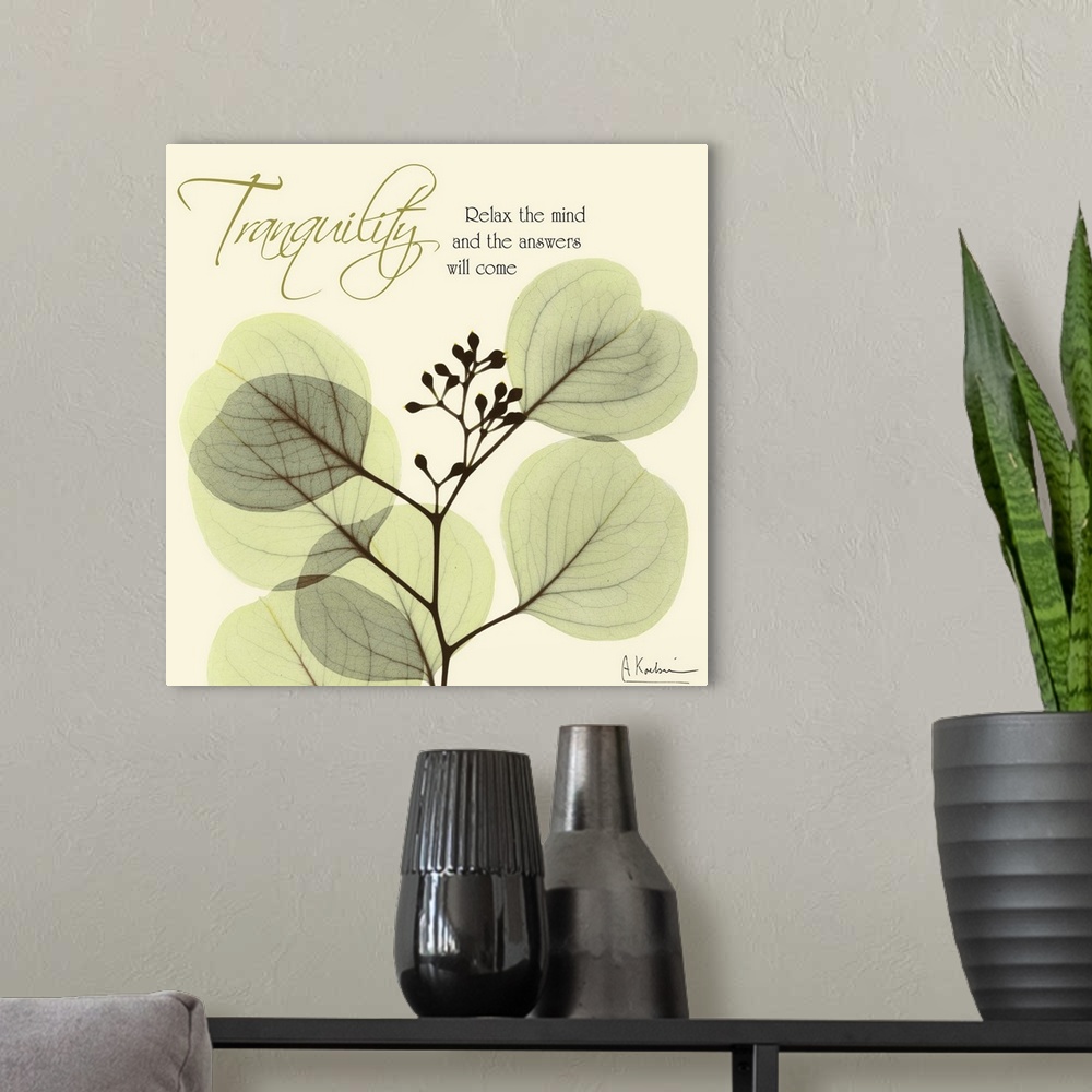 A modern room featuring Tranquility Eucalyptus x-ray photography