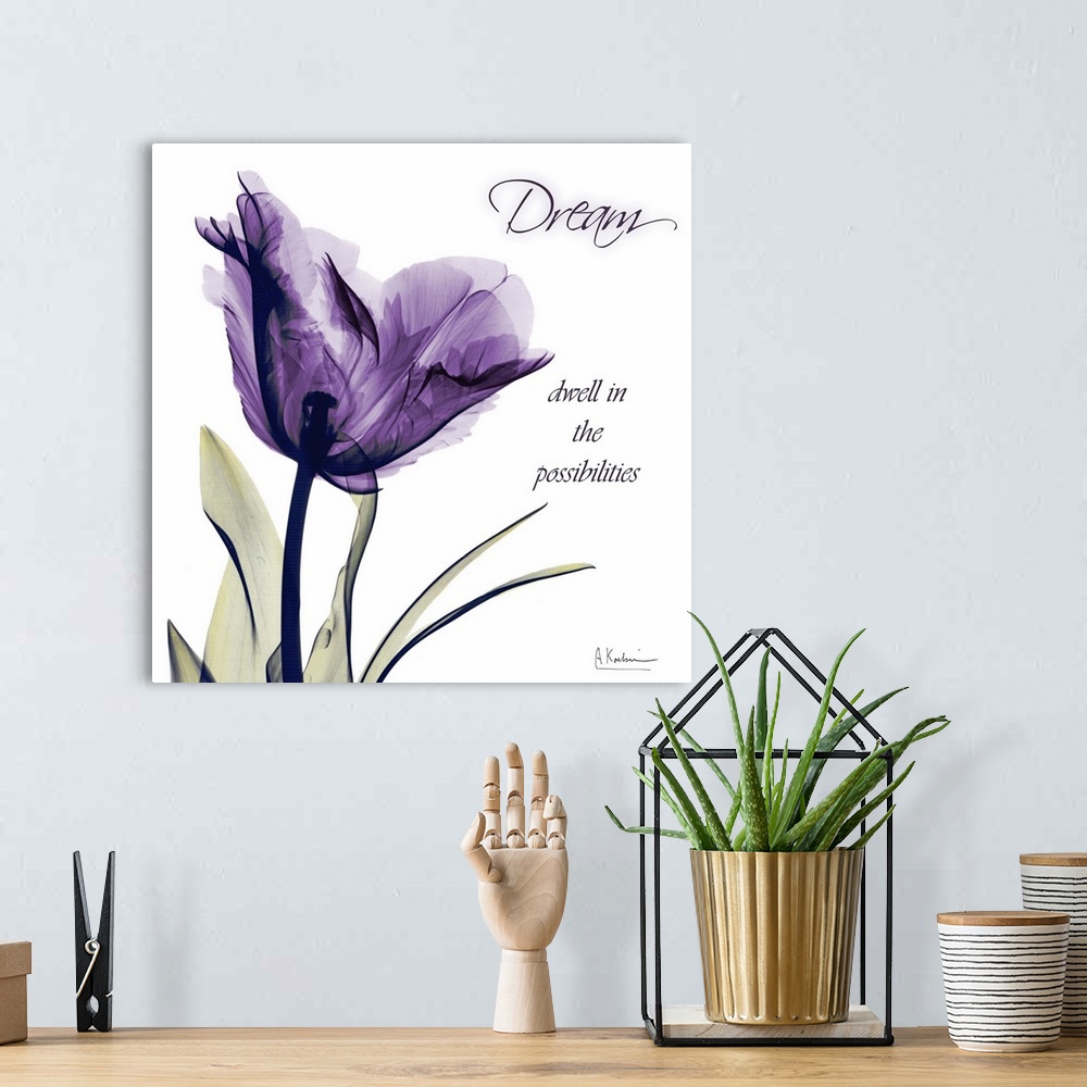 A bohemian room featuring X-ray photo of a tulip flower against a white background with an inspirational quote.