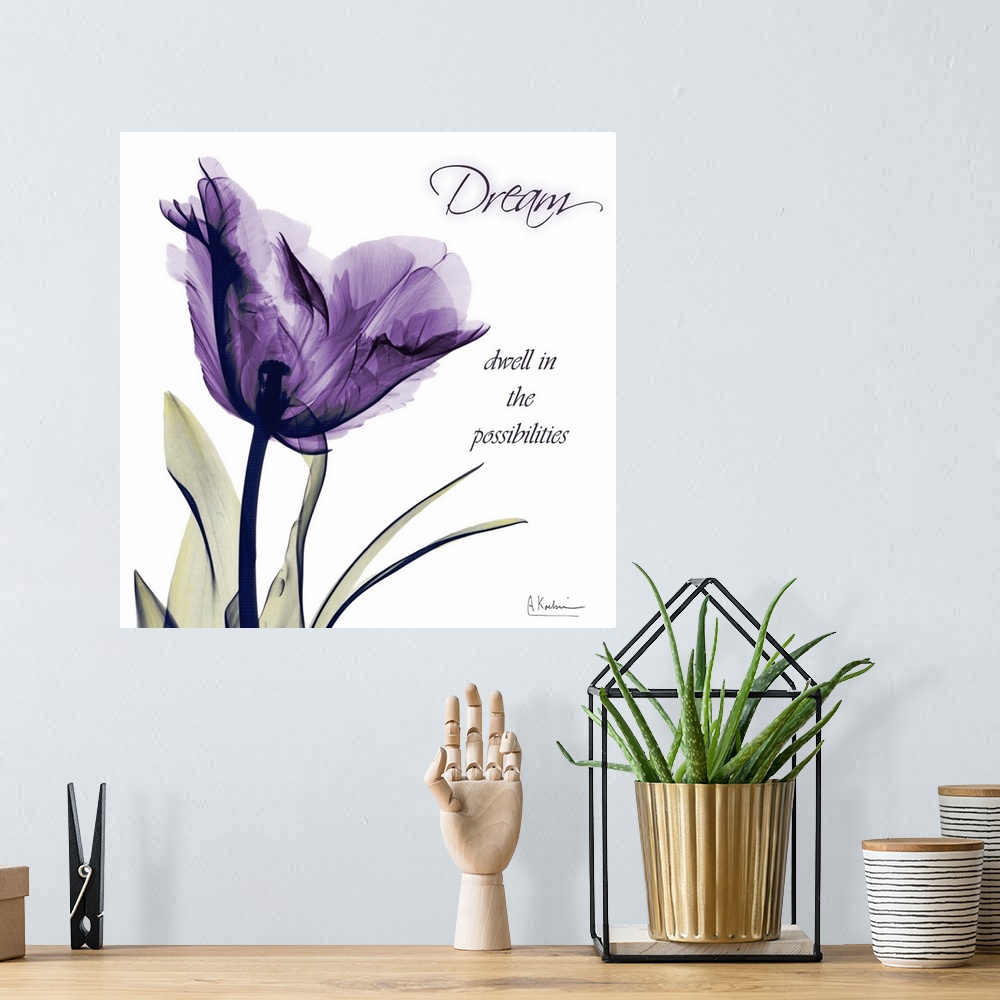 A bohemian room featuring X-ray photo of a tulip flower against a white background with an inspirational quote.