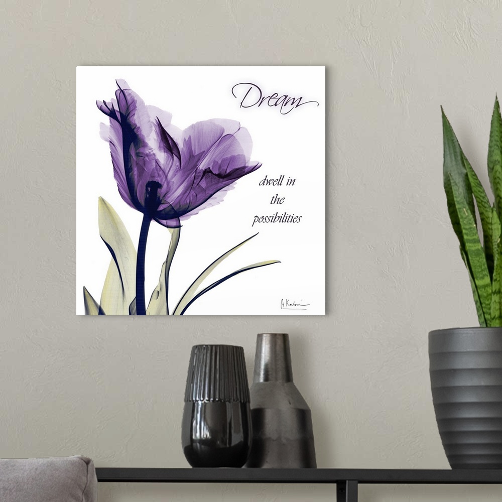 A modern room featuring X-ray photo of a tulip flower against a white background with an inspirational quote.