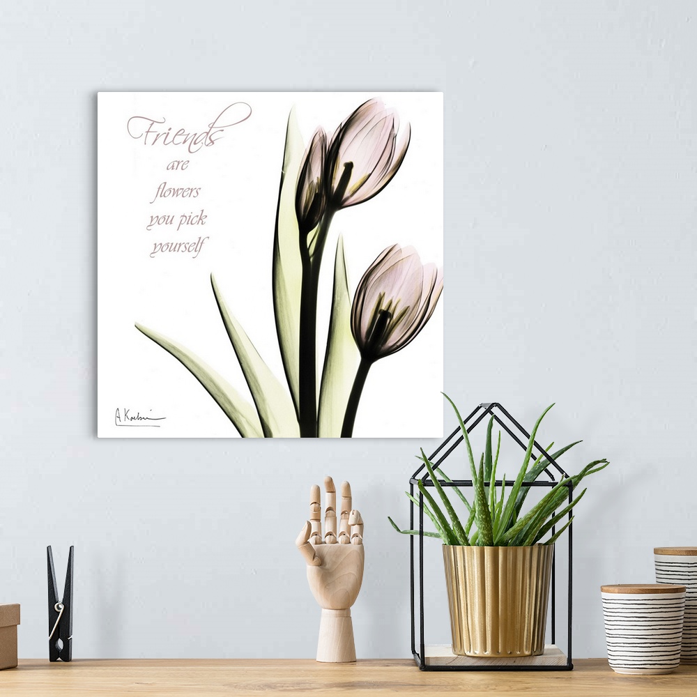 A bohemian room featuring Tulip Friends x-ray photography