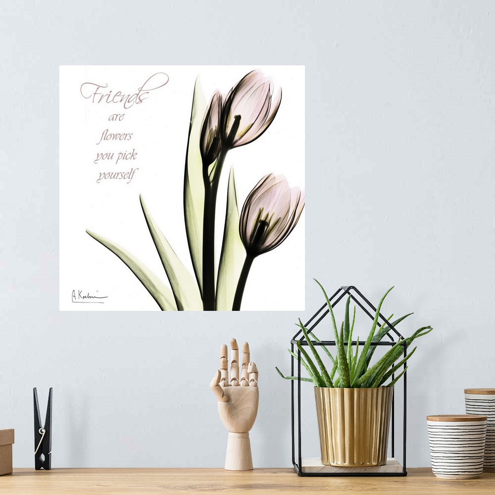 A bohemian room featuring Tulip Friends x-ray photography