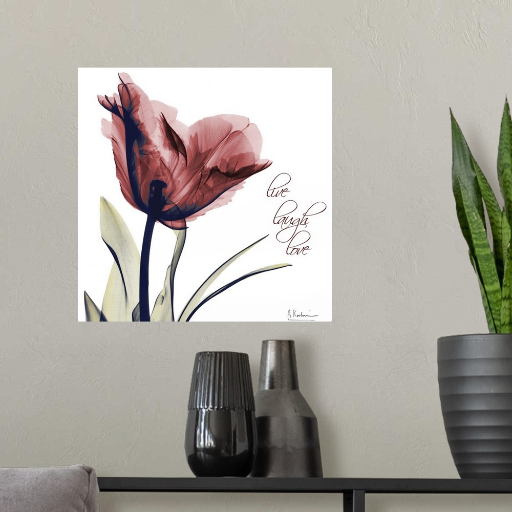 A modern room featuring Tulip Live, Laugh, Love x-ray photography