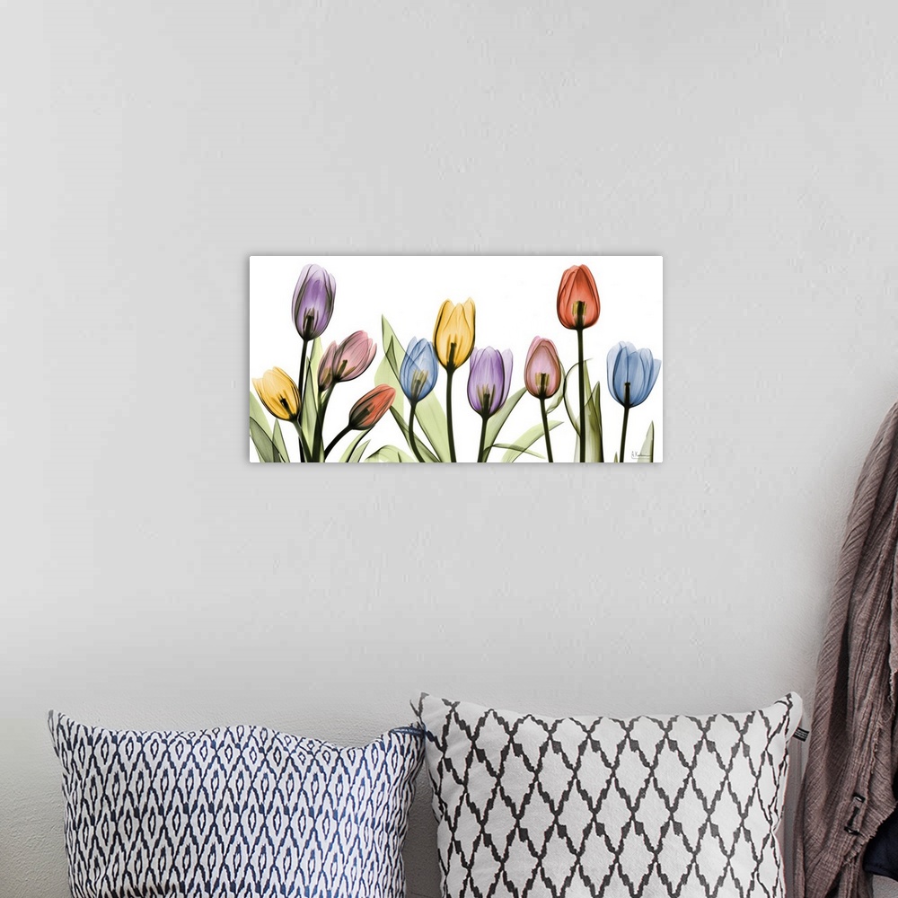 A bohemian room featuring Ten transparent blooms and their leaves on a horizontal gicloe print; this oversized wall art dis...