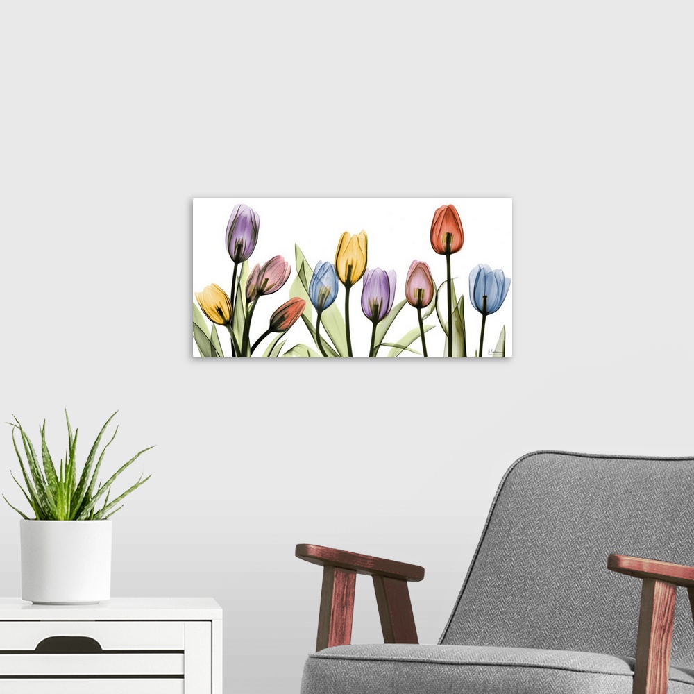 A modern room featuring Ten transparent blooms and their leaves on a horizontal gicloe print; this oversized wall art dis...