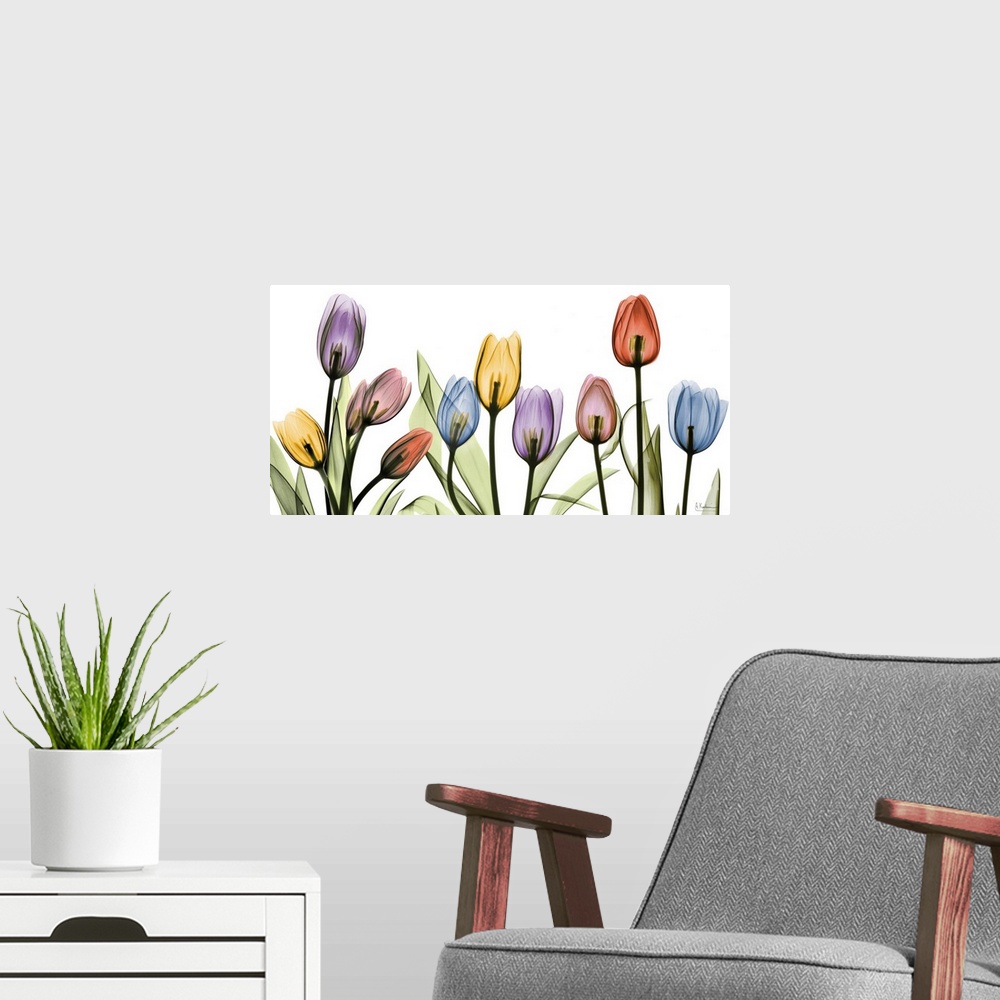 A modern room featuring Ten transparent blooms and their leaves on a horizontal gicloe print; this oversized wall art dis...