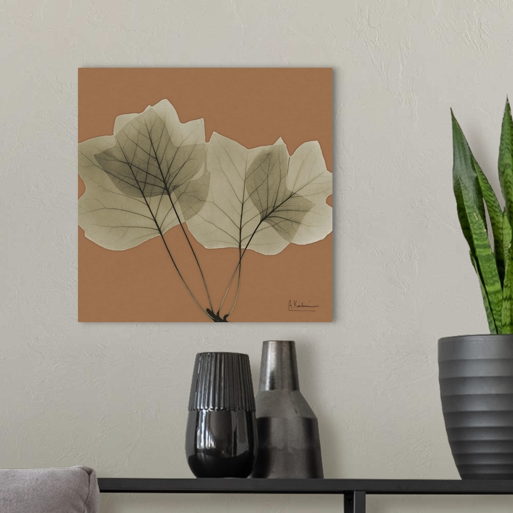 A modern room featuring Square x-ray photograph of a group of leaves on the end a tree branch, against an earth toned bac...