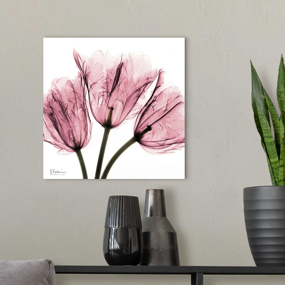 A modern room featuring Transparent photograph of three flower blossoms showing their internal structure.