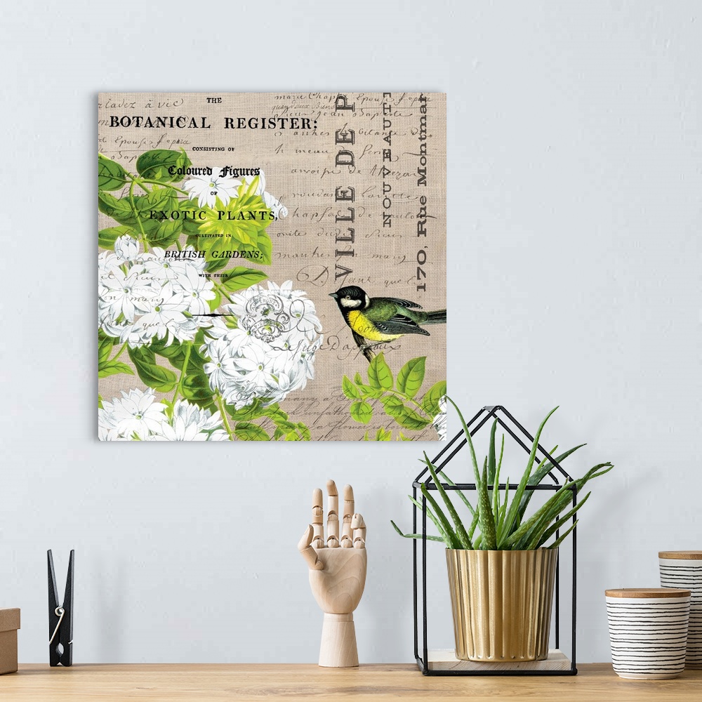 A bohemian room featuring White flower botanical