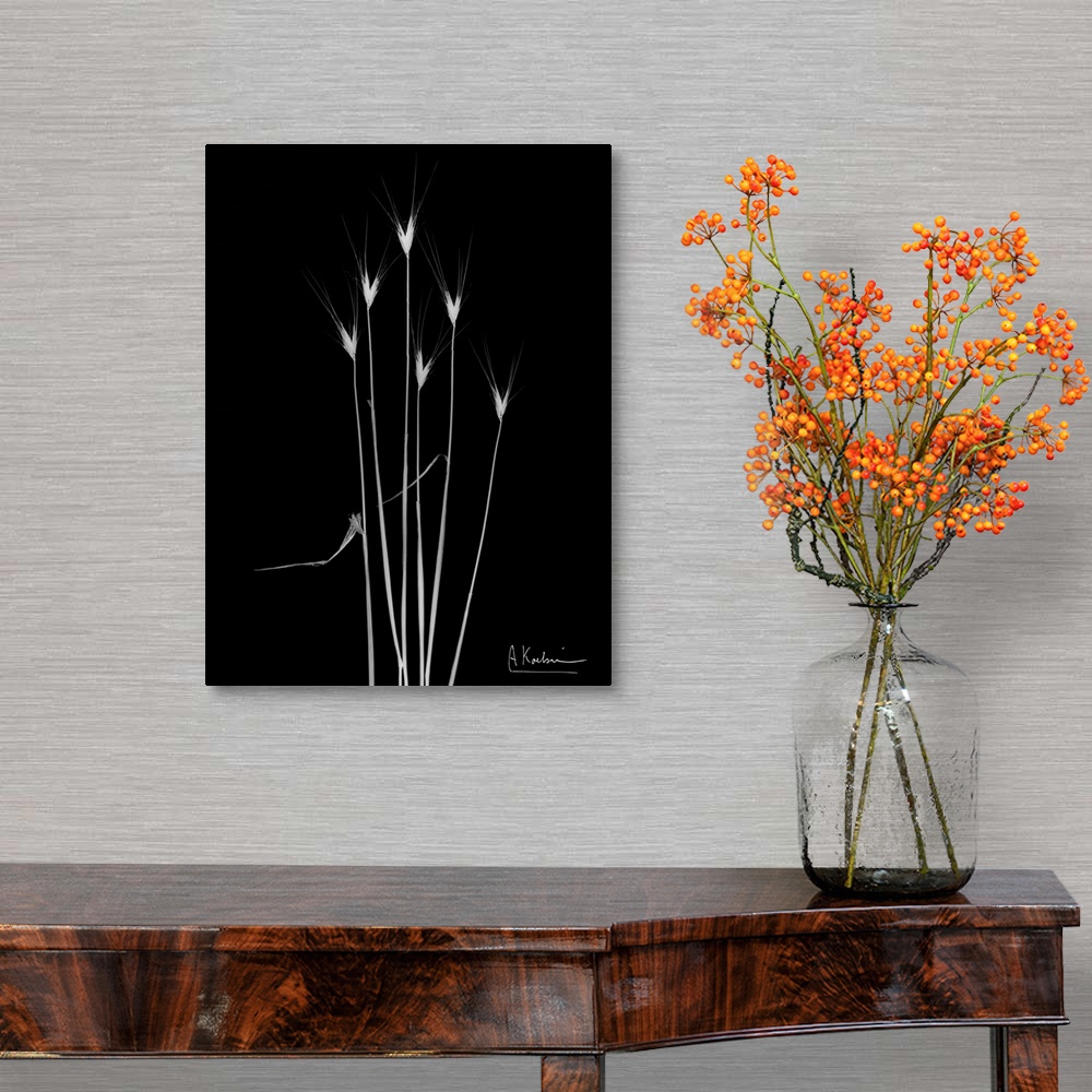 A traditional room featuring X-Ray photograph of six blades of wild grass against a black background.
