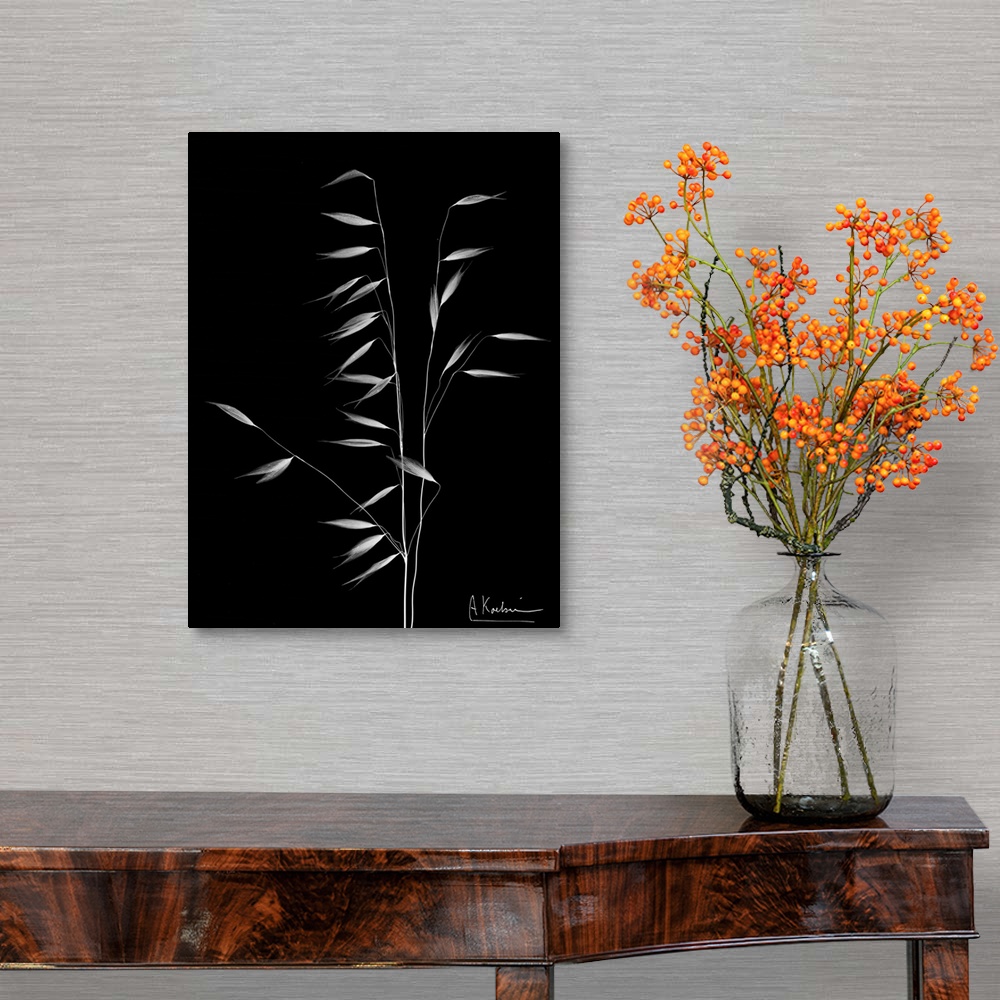 A traditional room featuring X-Ray photograph of a stalk of wild grass against a black background.