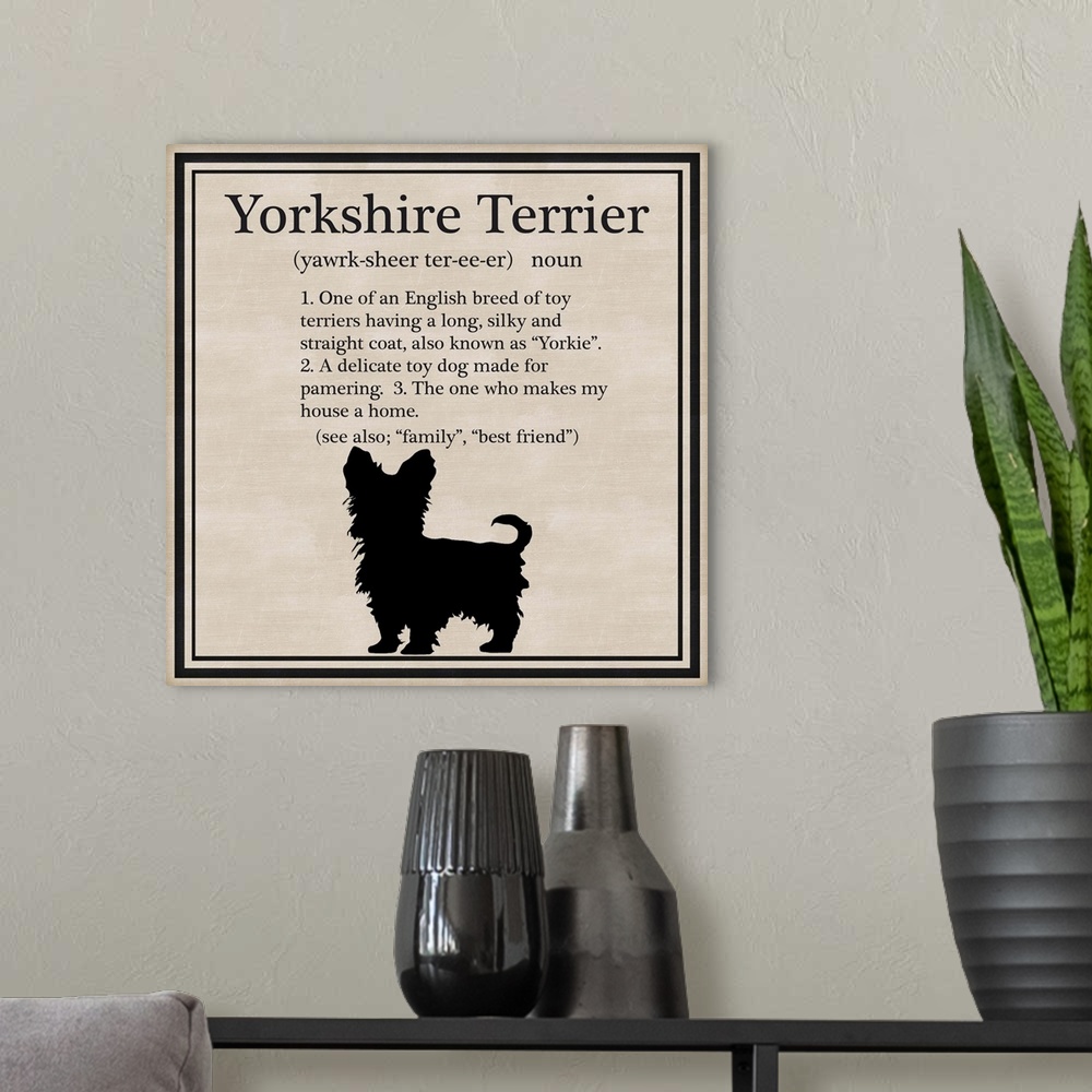 A modern room featuring Yorkshire Terrier