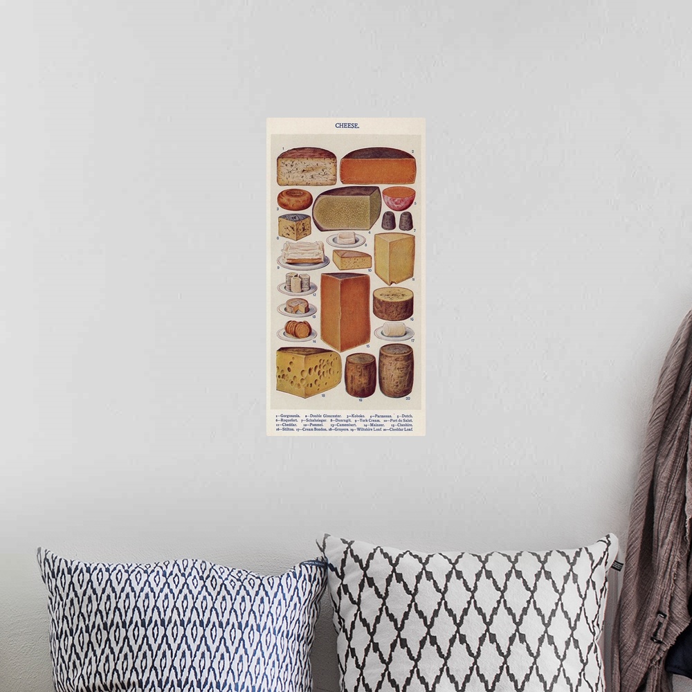 A bohemian room featuring Cheese Varieties