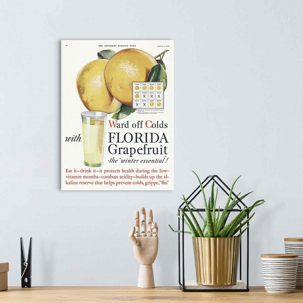 A bohemian room featuring Florida Grapefruit Advertisement