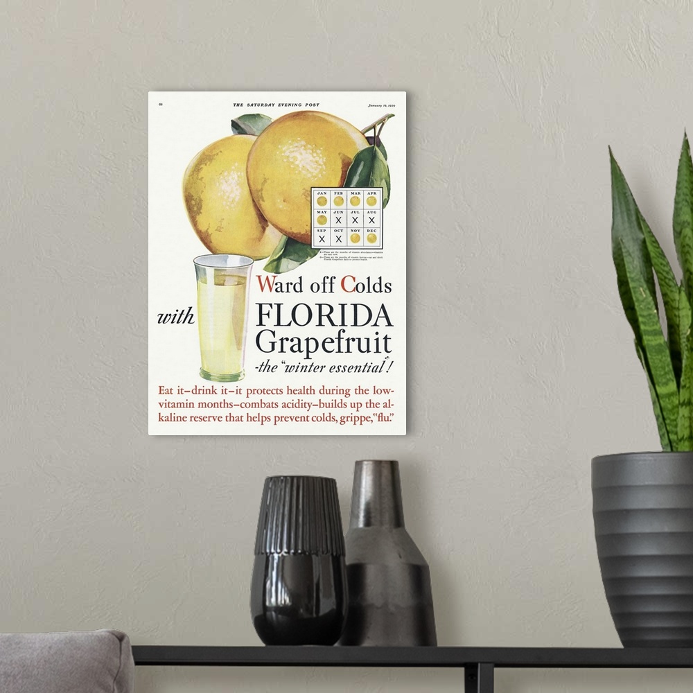 A modern room featuring Florida Grapefruit Advertisement