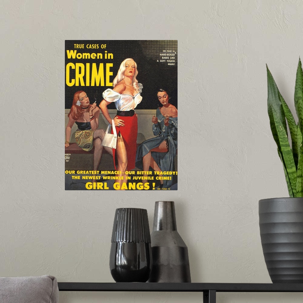 A modern room featuring True Cases Of Women In Crime, March