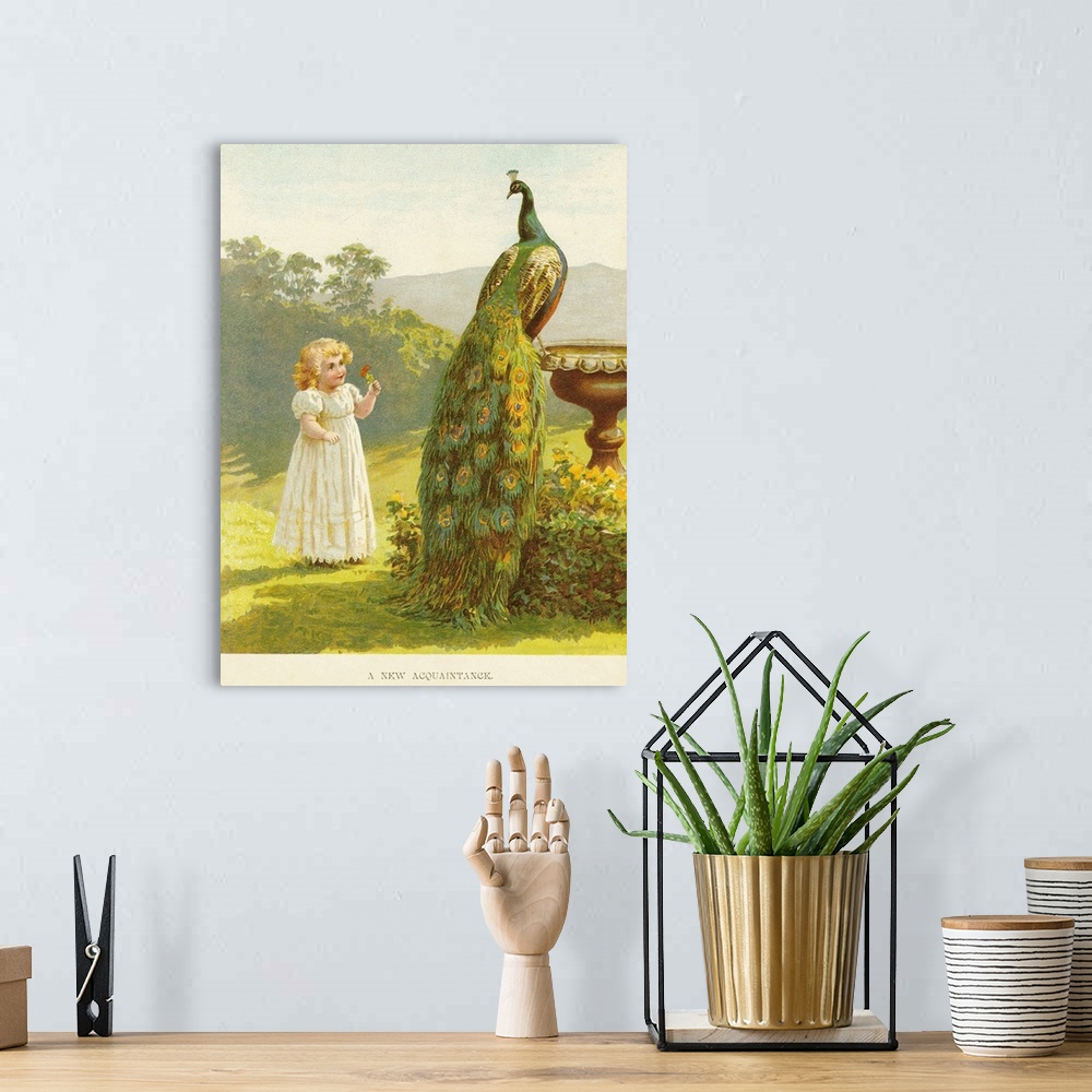 A bohemian room featuring UK Illustrations Book Plate