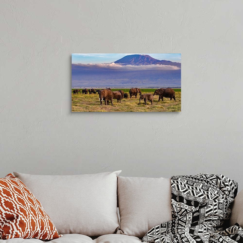 A bohemian room featuring Many elephants grazing in Kenya, Africa, beneath looming Kilamanjaro, which is in Tanzania, Africa.