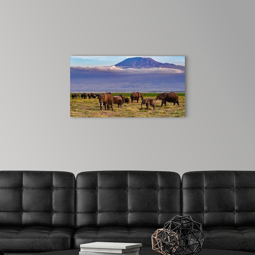 A modern room featuring Many elephants grazing in Kenya, Africa, beneath looming Kilamanjaro, which is in Tanzania, Africa.