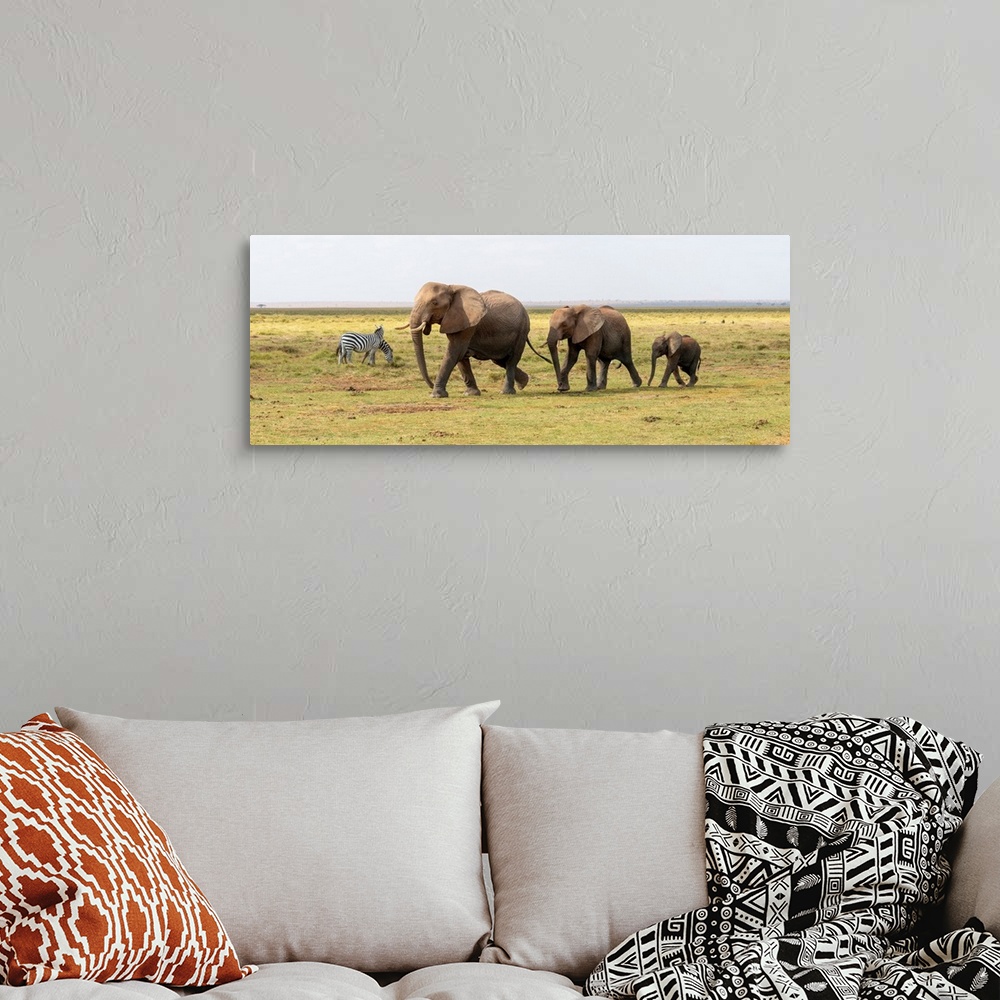 A bohemian room featuring Three elephants walking in Kenya, Africa