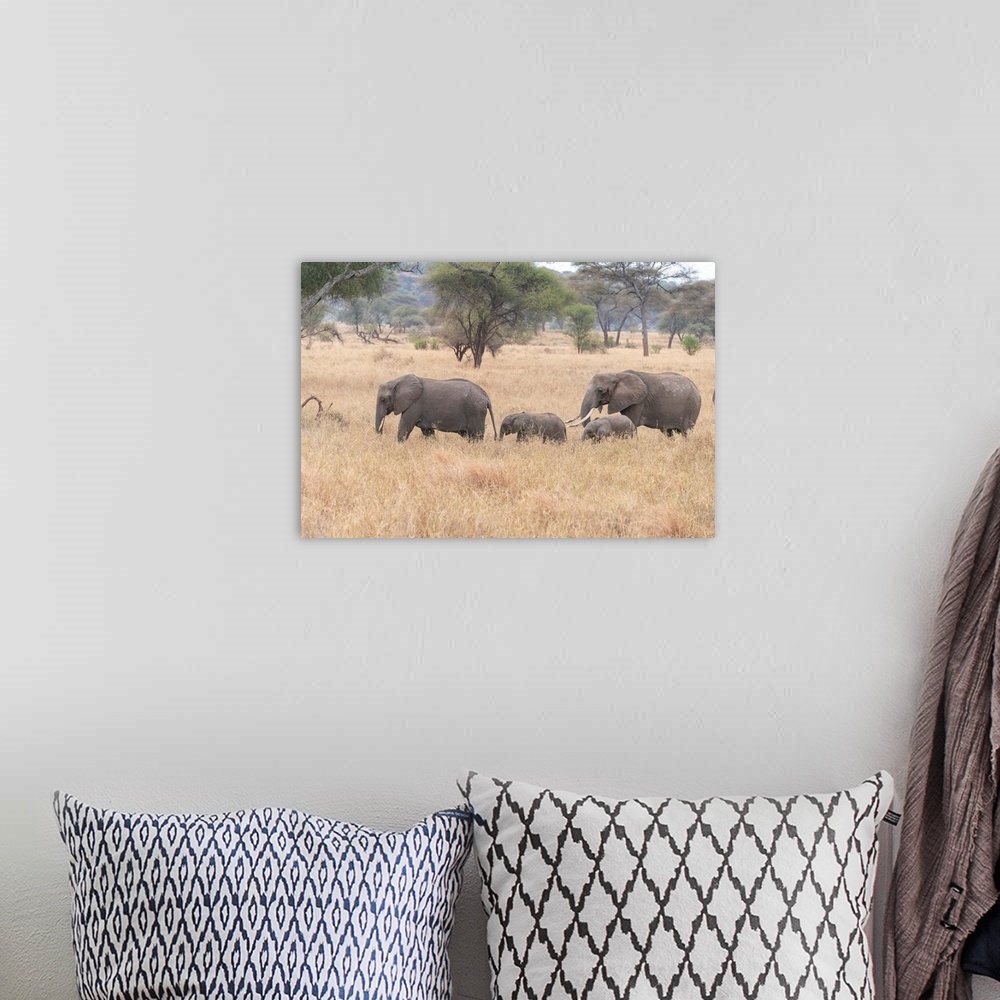 A bohemian room featuring Several elephants on the move during the great migration in Serengeti National Park, Tanzania, Af...