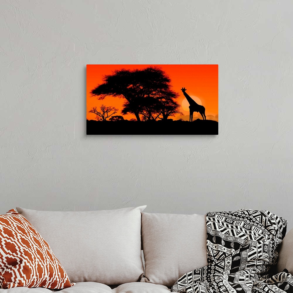 A bohemian room featuring A single giraffe silhouetted at sunset with Acacia trees in the Serengeti.