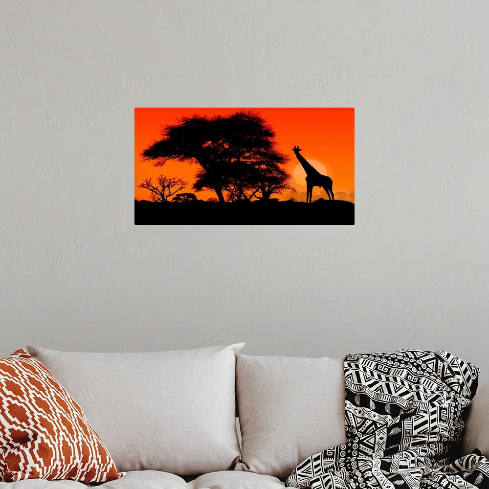 A bohemian room featuring A single giraffe silhouetted at sunset with Acacia trees in the Serengeti.
