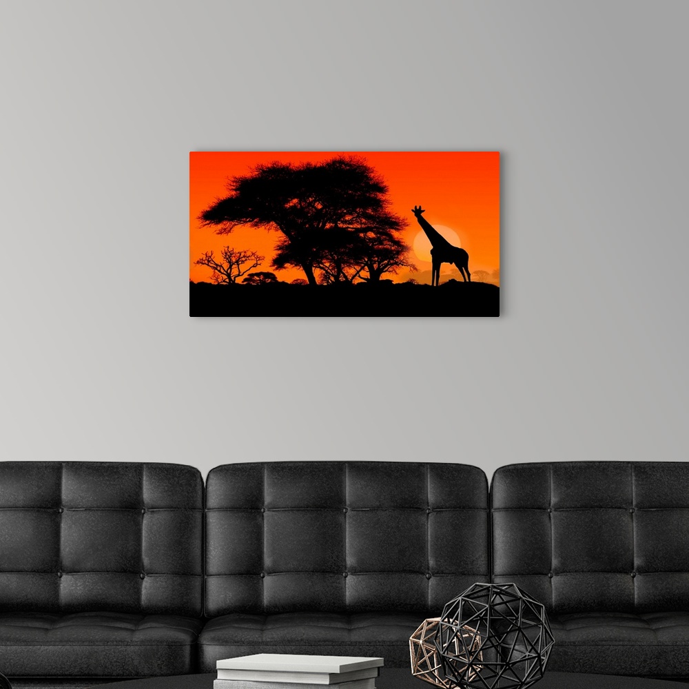 A modern room featuring A single giraffe silhouetted at sunset with Acacia trees in the Serengeti.
