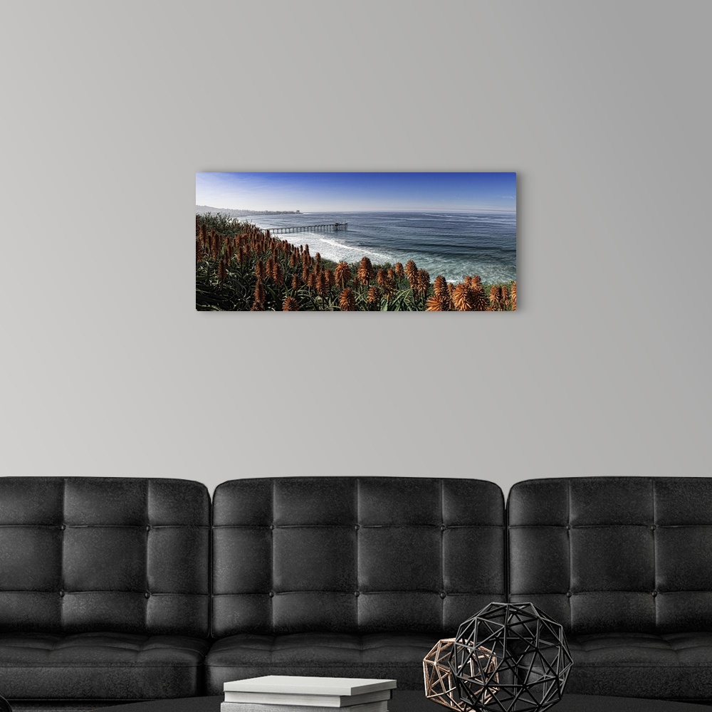 A modern room featuring La Jolla Scripps Pier and red aloe plants. This is a very large panoramic capture.