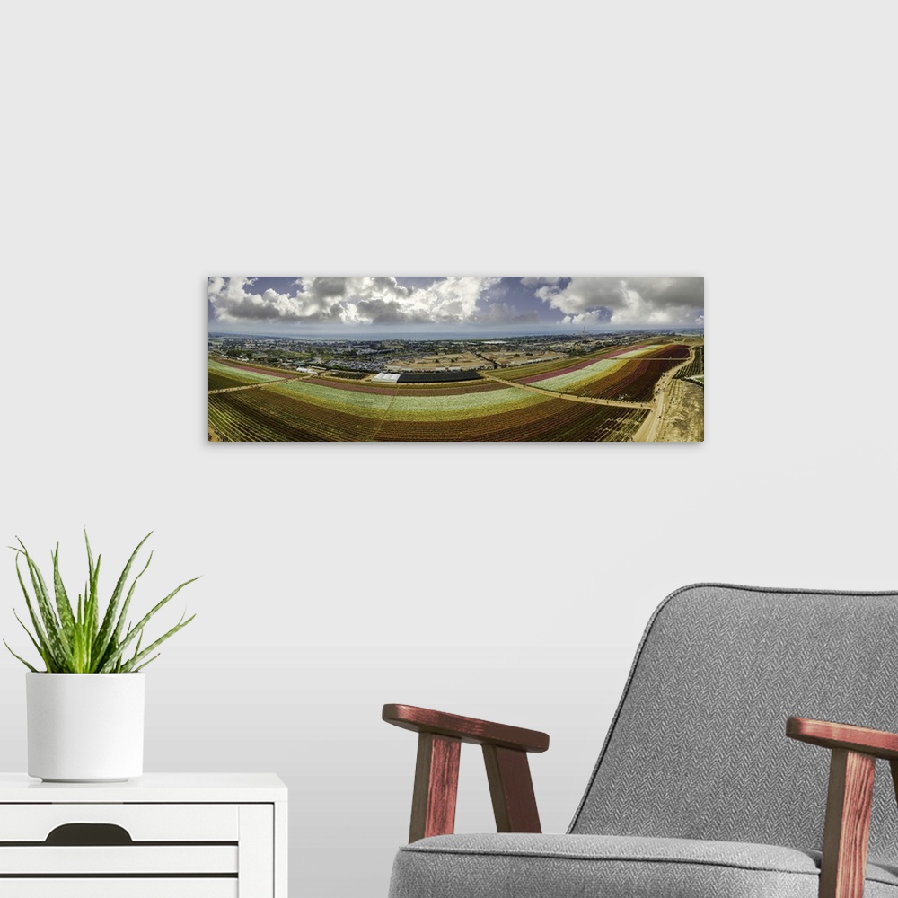 A modern room featuring The famous Carlsbad Flower fields in Southern California. This is a 4 image aerial panoramic look...