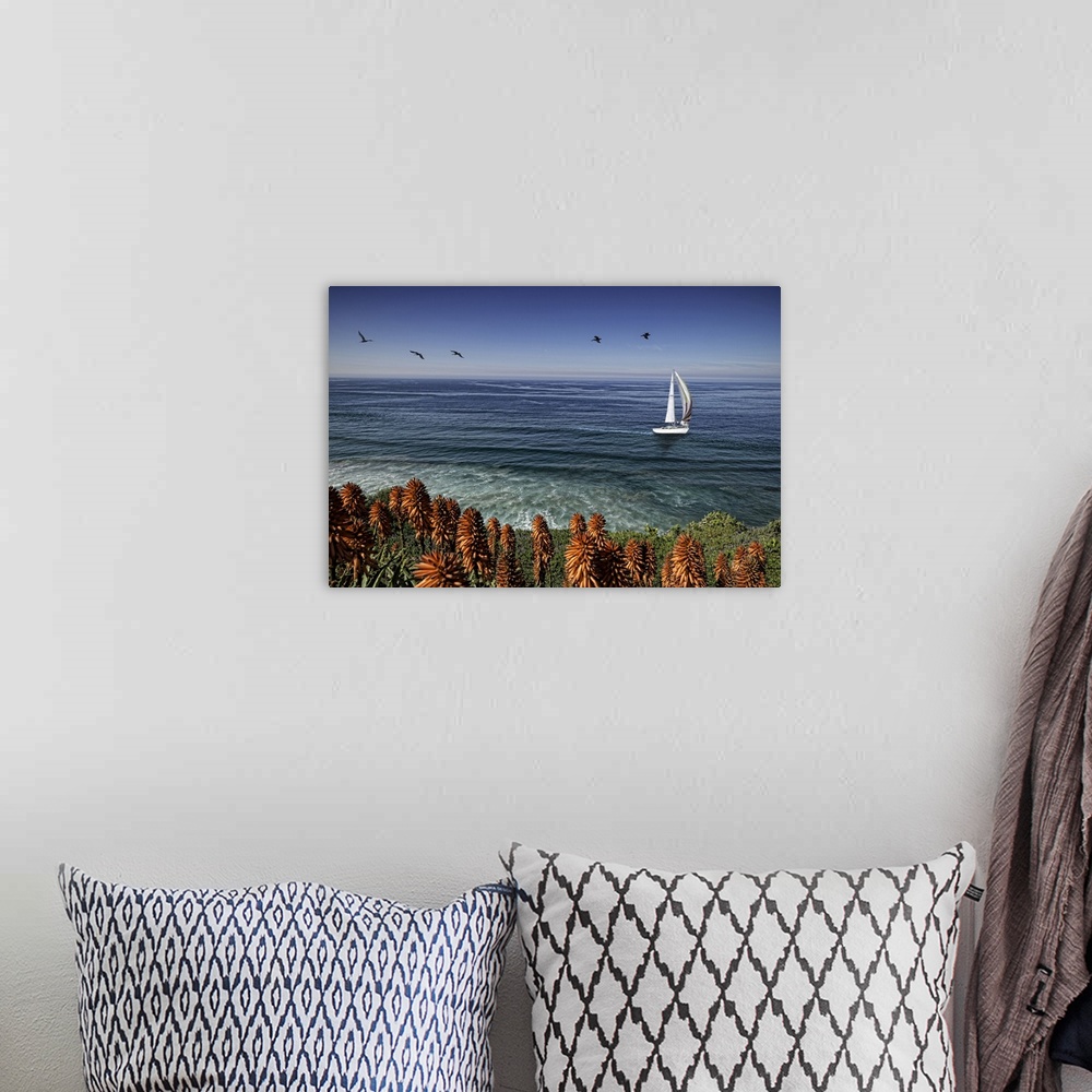 A bohemian room featuring San Diego coastline with sailboat