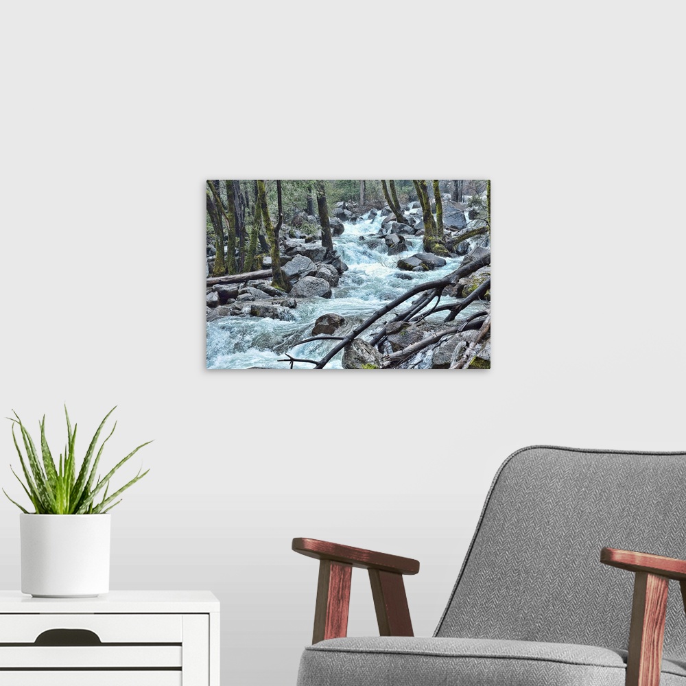 A modern room featuring Forest Falls - a river has formed in the pine forest in Yosemite National Park.