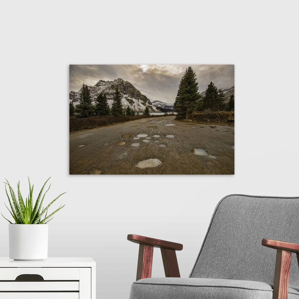 A modern room featuring Rain puddles on a road at Bow Lake, Banff National Park, Canada