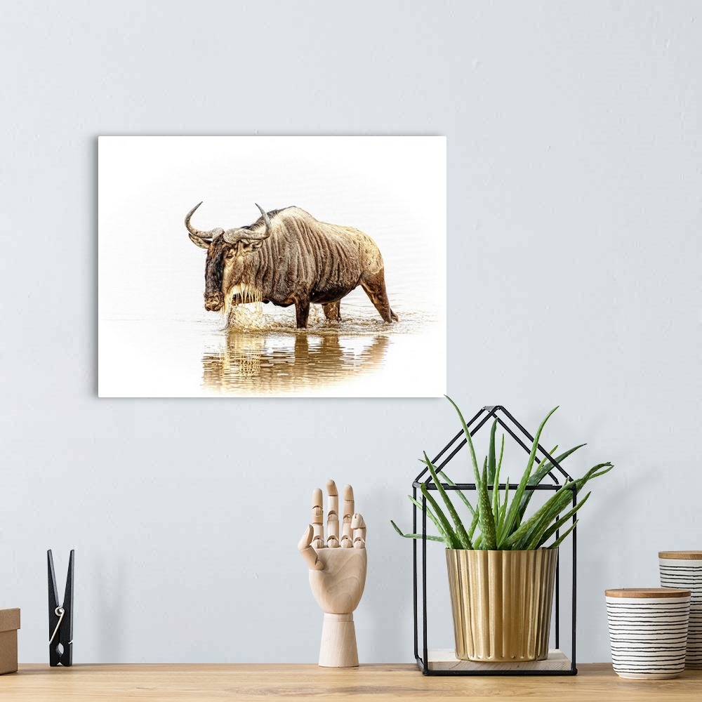 A bohemian room featuring A wildebeest, isolated on a white background