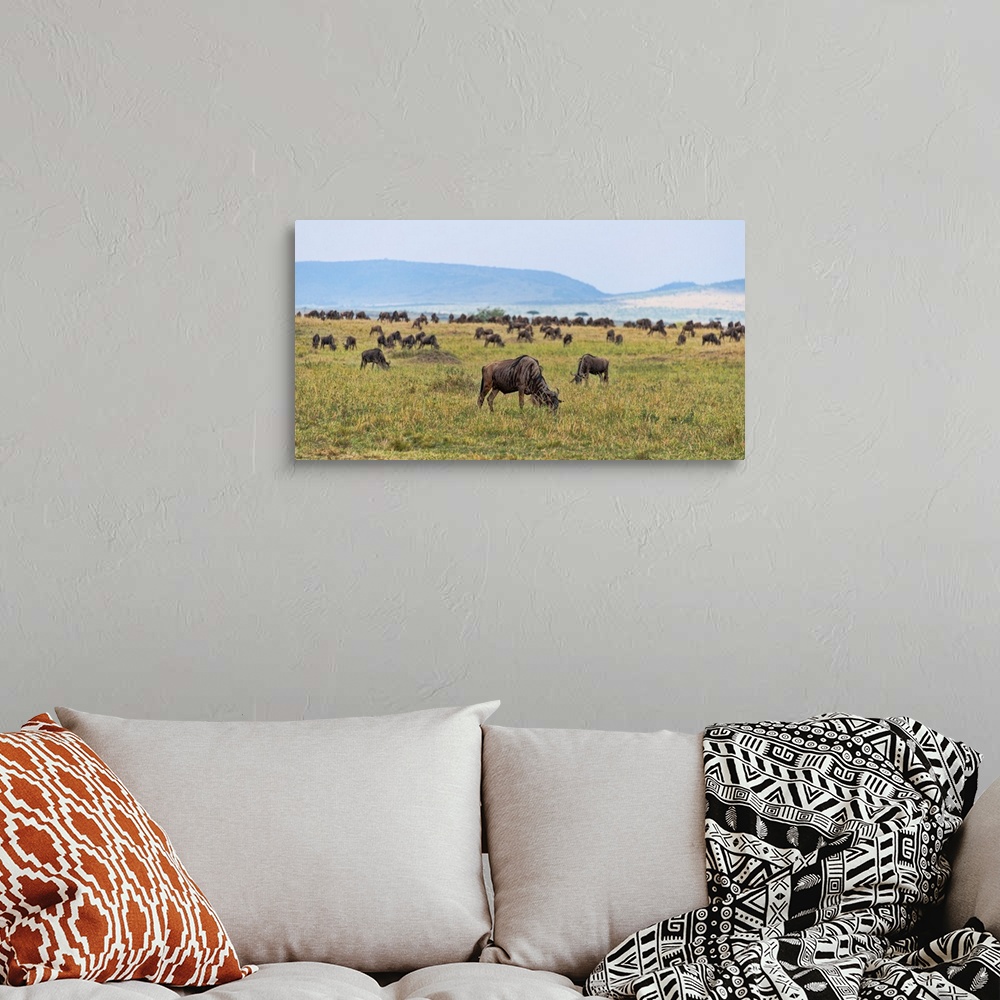 A bohemian room featuring Hundreds of Wildebeests grazing in Serengeti, Tanzania, Africa.