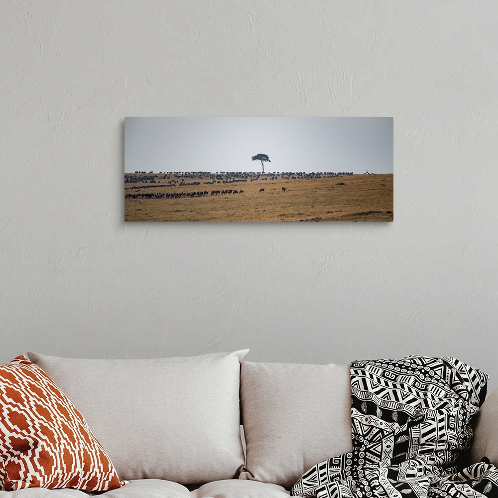 A bohemian room featuring Wildebeests on plains at sunset in the serengeti.