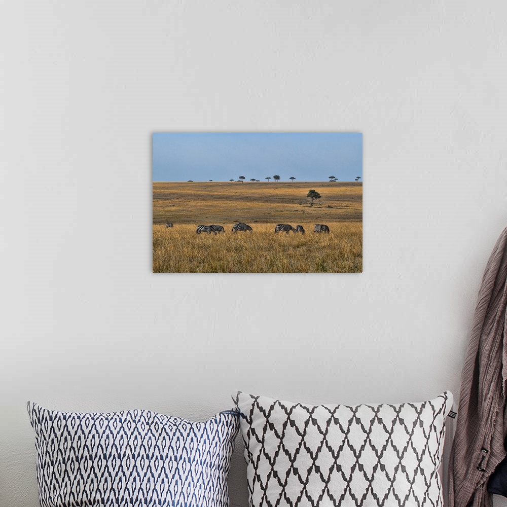 A bohemian room featuring Zebras In The Serengeti